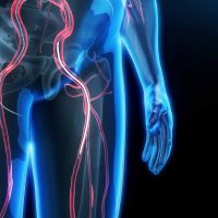 Sociedad de Cirugía Vascular alerta: 70% de los casos de EAP son asintomáticos